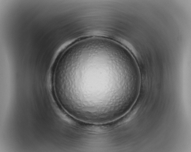 X0000115620987200911171312