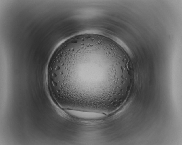 X0000115620988200911171312