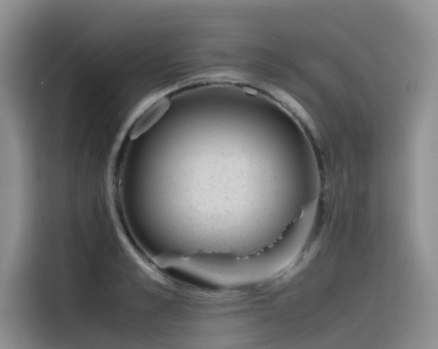 X0000115620989200911171312