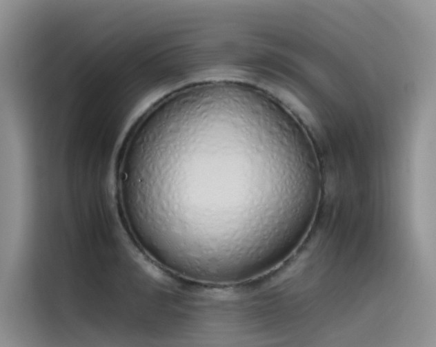 X0000115620990200911171312