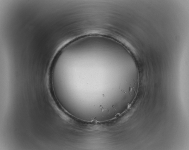 X0000115620991200911171312