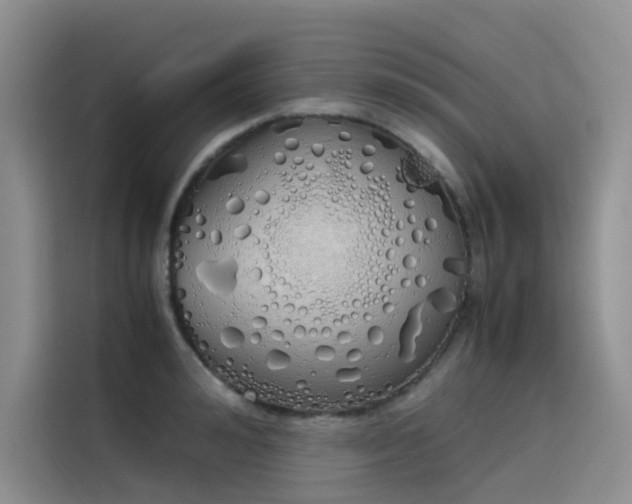 X0000115620992200911171312