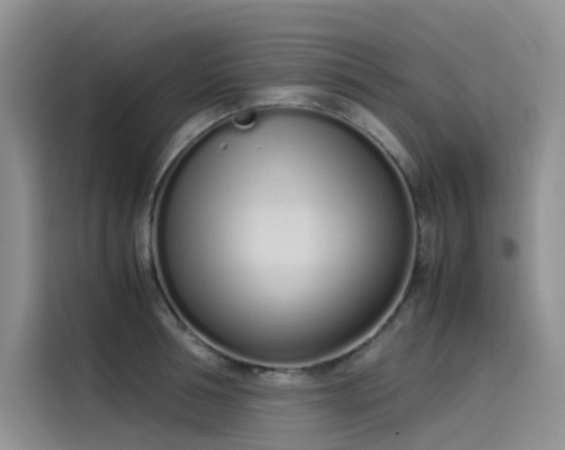 X0000115620994200911171312