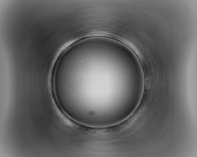 X0000115620995200911171312