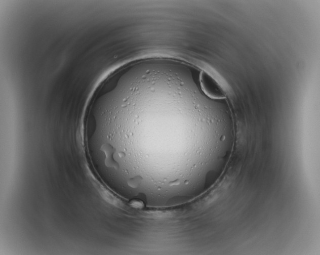 X0000115620996200911171312