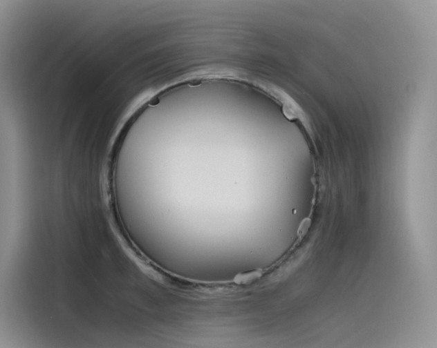 X0000115620997200911171312