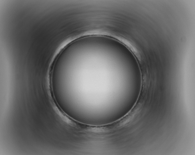 X0000115620998200911171312