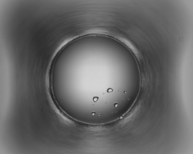 X0000115620999200911171312