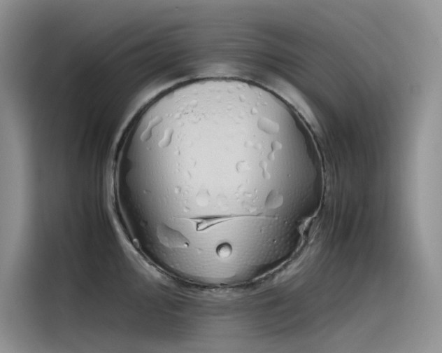 X0000115621000200911171312