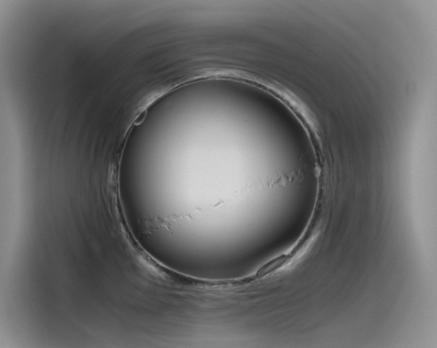 X0000115621001200911171312