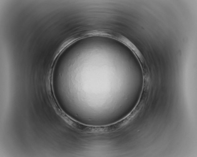 X0000115621002200911171312