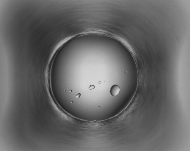 X0000115621003200911171312