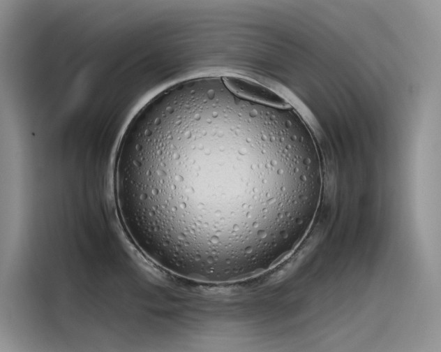 X0000115621004200911171312