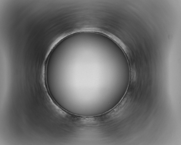 X0000115621006200911171312