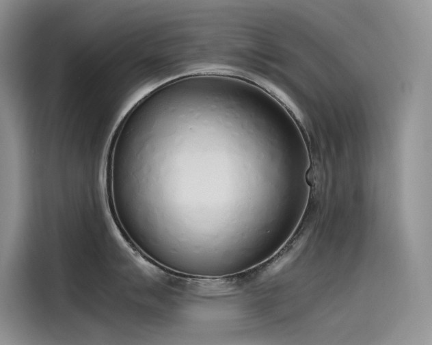 X0000115621007200911171312