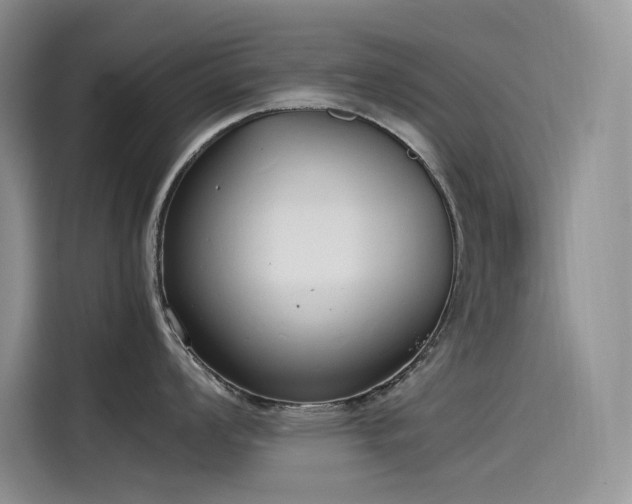 X0000115621008200911171312