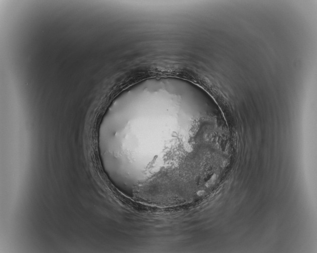 X0000115621009200911171311