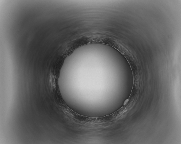 X0000115621010200911171311