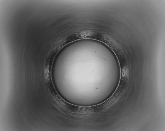 X0000115621011200911171311