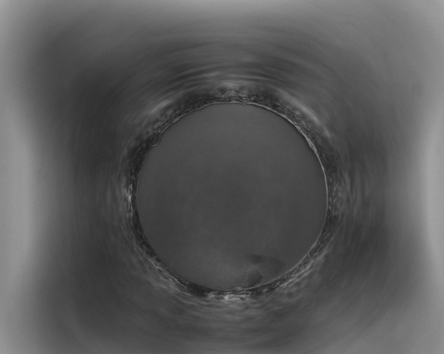 X0000115621013200911171311