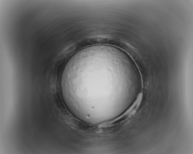 X0000115621014200911171311