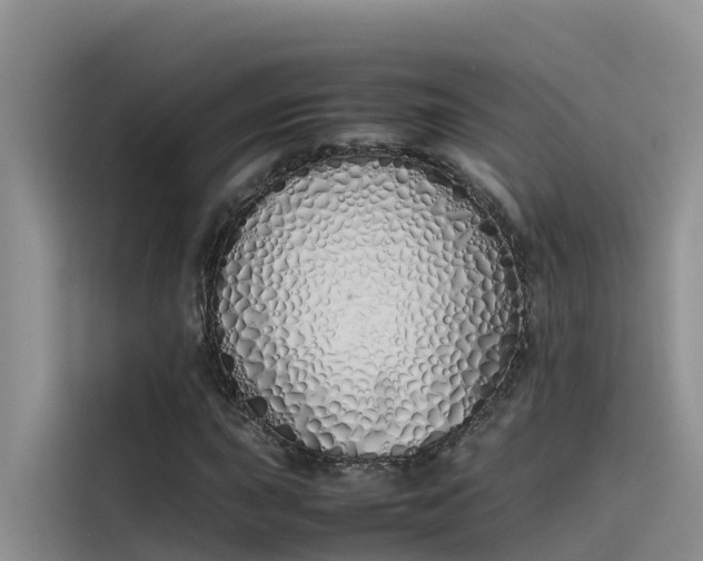 X0000115621015200911171311