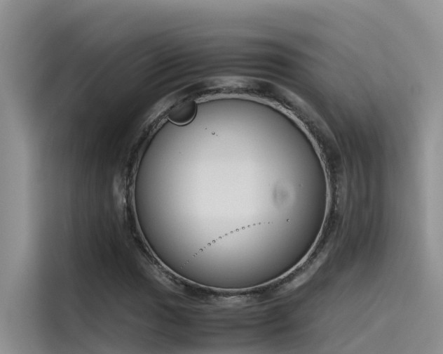 X0000115621017200911171311