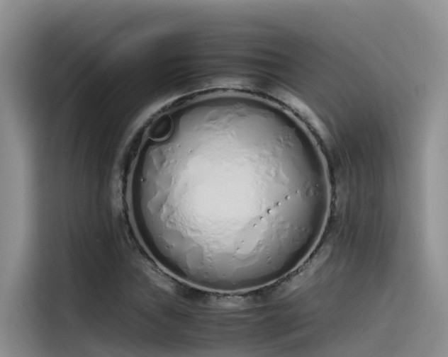 X0000115621019200911171311