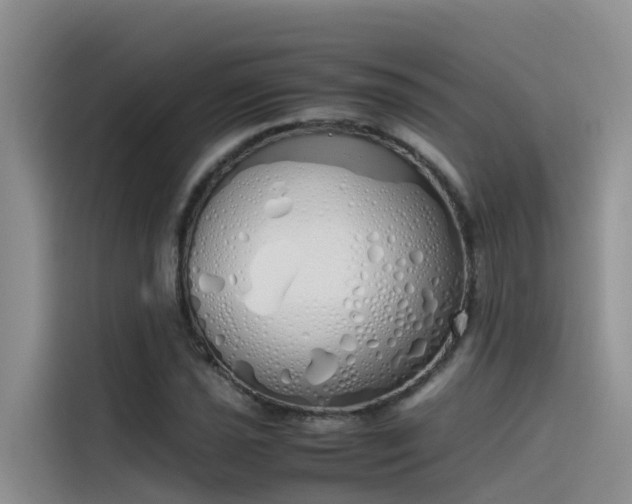 X0000115621021200911171311