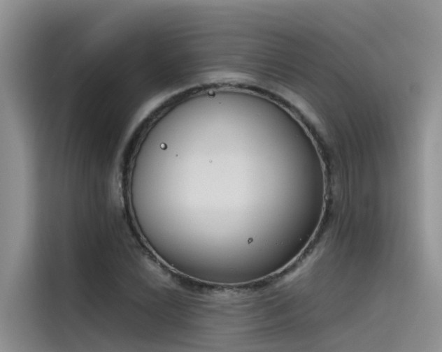 X0000115621022200911171311