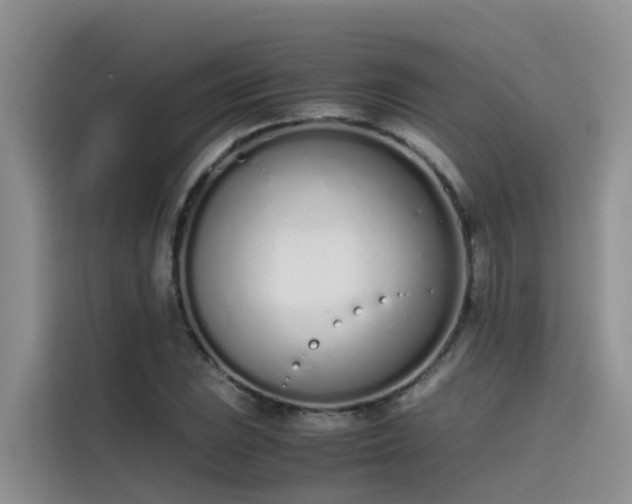 X0000115621023200911171311