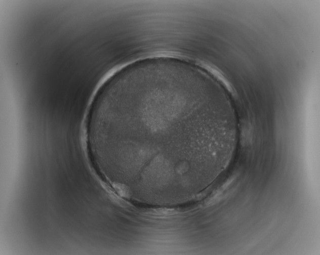 X0000115621024200911171311