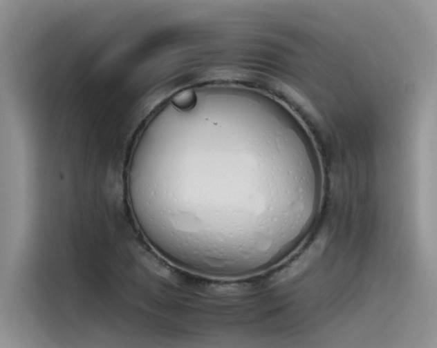 X0000115621025200911171311