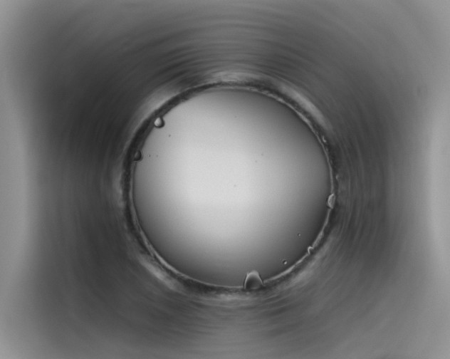 X0000115621026200911171311