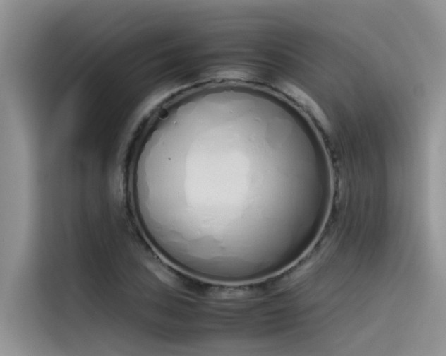 X0000115621027200911171311