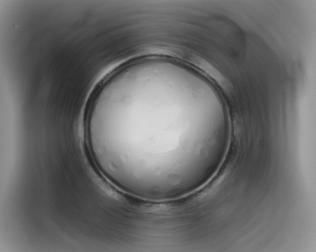 X0000115621028200911171312