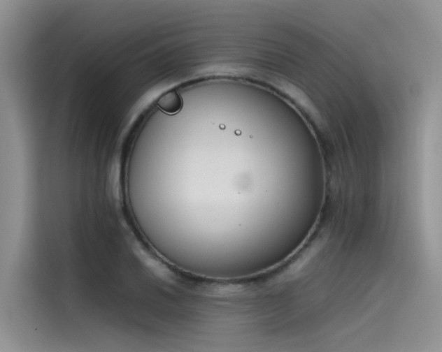 X0000115621030200911171312