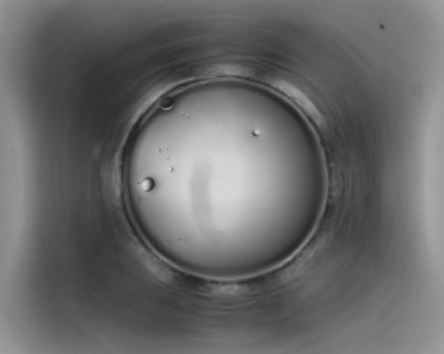 X0000115621031200911171312