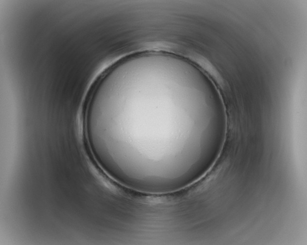 X0000115621032200911171312