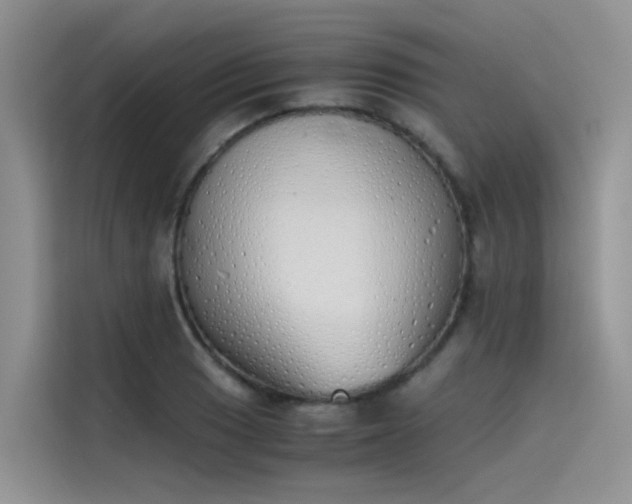 X0000115621033200911171312