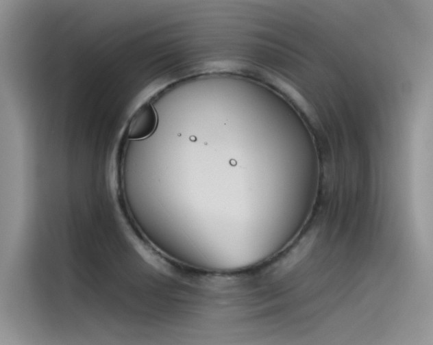 X0000115621034200911171312