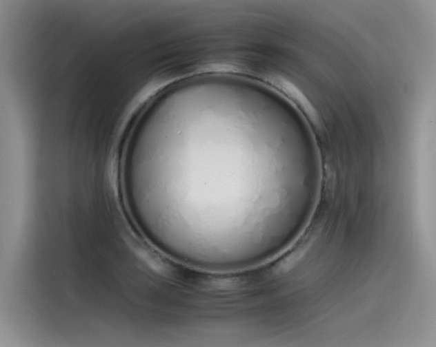 X0000115621035200911171312