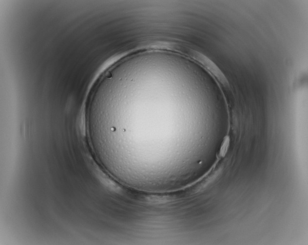 X0000115621036200911171312