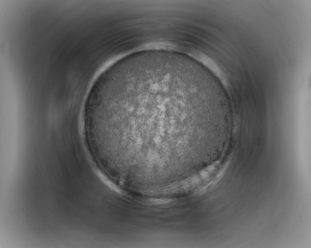 X0000115621037200911171312