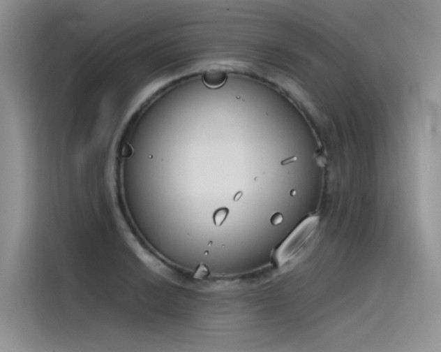 X0000115621038200911171312