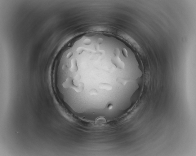 X0000115621039200911171312