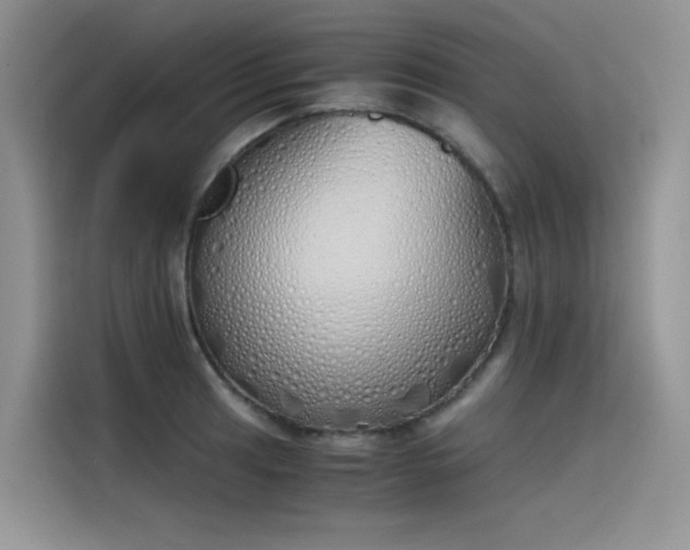 X0000115621041200911171312