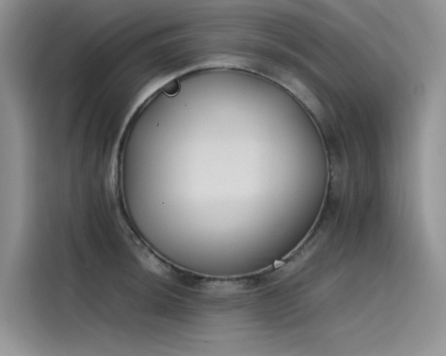 X0000115621044200911171312