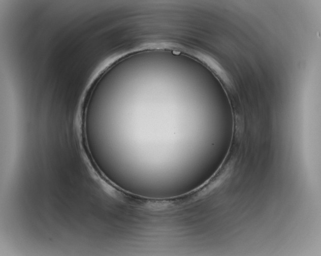 X0000115621046200911171312