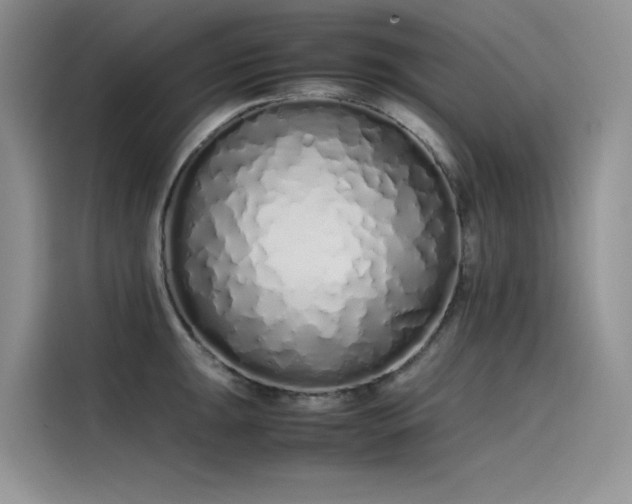 X0000115621047200911171312